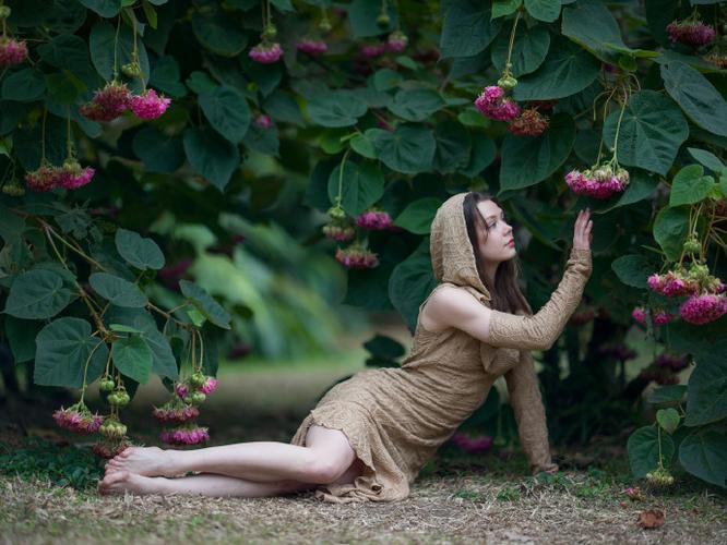 钢琴独奏音乐会